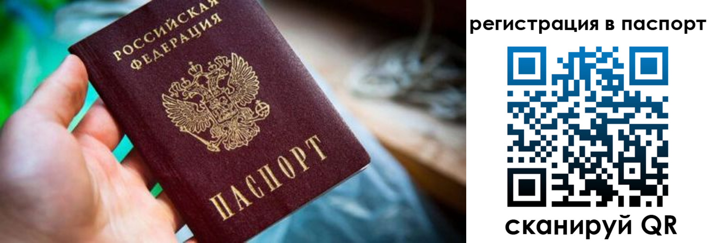 прописка регистрация в Солнечногорске